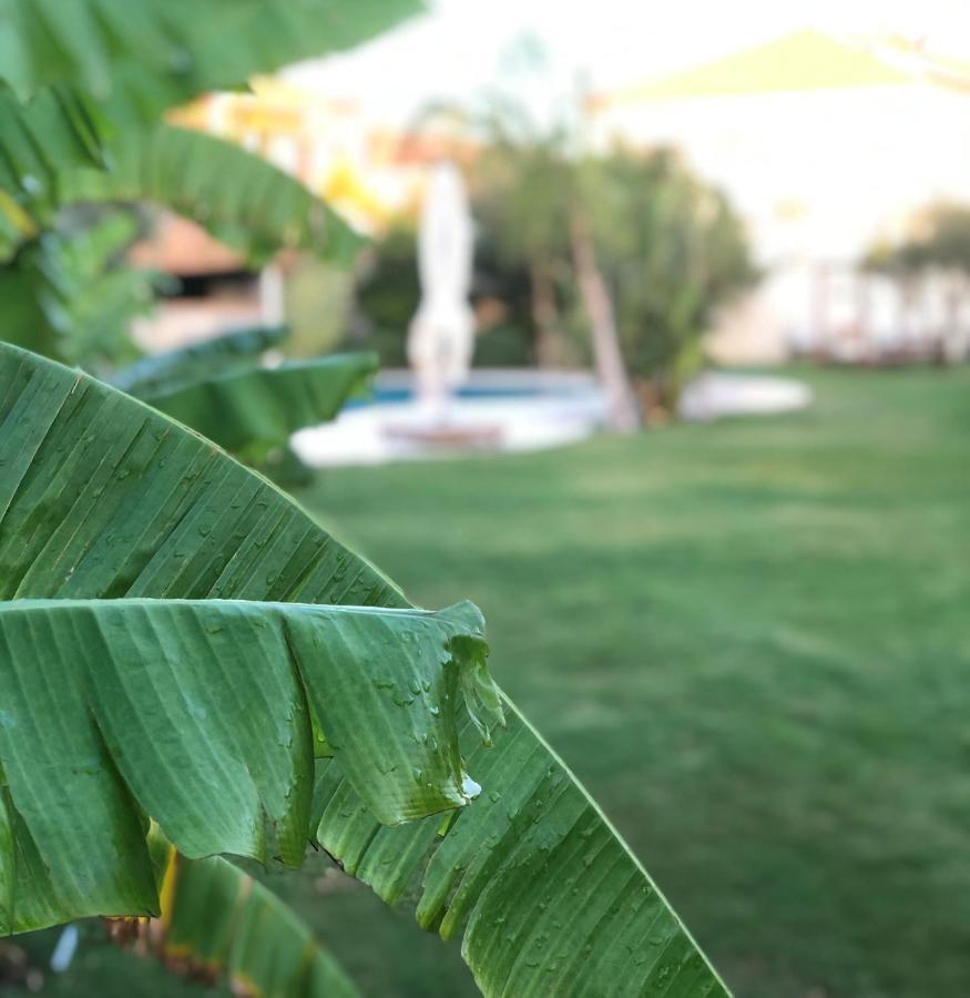 Triangulo Hotel Alaçatı Eksteriør bilde
